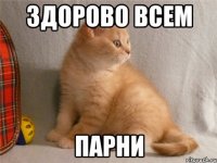 здорово всем парни