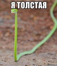 я толстая 