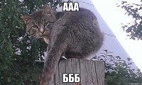 ааа ббб