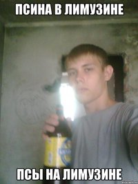Псина в лимузине Псы на лимузине