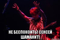  Не беспокоить! Сенсей шаманит!