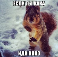 если ты кака иди вниз