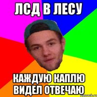лсд в лесу каждую каплю видел отвечаю
