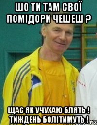 Шо ти там свої помідори чешеш ? Щас як учухаю блять ! Тиждень болітимуть !