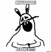 МИШАААААА! ВЕРНИСЬ!!!!!