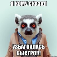 я кому сказал Узбагоилась быстро!!!
