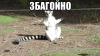Збагойно 