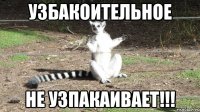 УЗБАКОИТЕЛЬНОЕ НЕ УЗПАКАИВАЕТ!!!