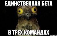 Единственная бета в трех командах