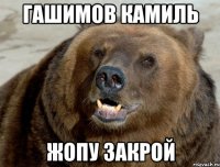 Гашимов Камиль Жопу закрой
