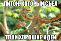 ПИТОН, КОТОРЫЙ СЪЕЛ ТВОИ ХОРОШИЕ ИДЕИ