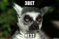 Звет Незт