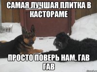 самая лучшая плитка в кастораме просто поверь нам, гав гав