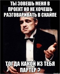 ты зовешь меня в проект но не хочешь разговаривать в скайпе тогда какой из тебя партер ?