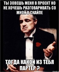 ты зовешь меня в проект но не хочешь разговаривать со мной в скайпе тогда какой из тебя партер ?