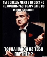 ты зовешь меня в проект но не хочешь разговаривать со мной в скайпе тогда какой из тебя партнер ?