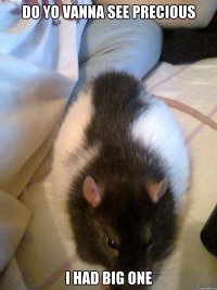 do yo vanna see precious i had big one
