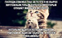Господи,спасибо тебе за то,что я не вырос ничтожным,тупым долбоебом,который слушает Маваши и Местного Который тащится по тазам,падикам ,районам и сидит на "обнуляй" и прочей хуйне,аминь!