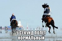  5 секунд полет нормальный