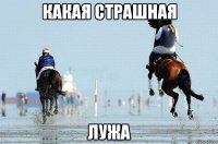 Какая страшная Лужа