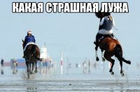Какая страшная лужа 