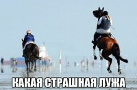  Какая страшная лужа
