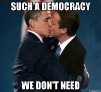 such a democracy we don't need