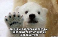  ТЫ ЕЩЕ НЕ ПОДПИСАН на ГОРОД-N | Новосибирск?! Ты точно из новосибирска?