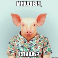 Михалыч, Спишь?