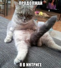 продолжай я в интриге