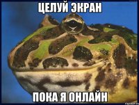ЦЕЛУЙ ЭКРАН ПОКА Я ОНЛАЙН