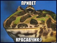 ПРИВЕТ КРАСАВЧИК;)