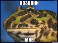 ПОЗВОНИ МНЕ