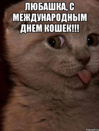 Любашка, с международным днем кошек!!! 