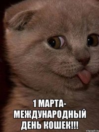  1 марта- международный день кошек!!!