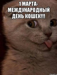 1 марта- международный день кошек!!! 