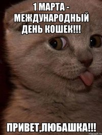 1 марта - международный день кошек!!! Привет,Любашка!!!
