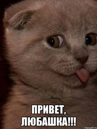 Привет, Любашка!!!