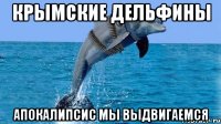 Крымские дельфины Апокалипсис мы выдвигаемся