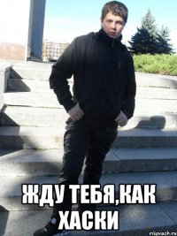  жду тебя,как хаски