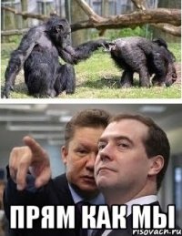  прям как мы