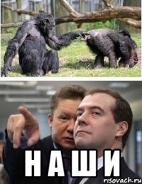  н а ш и