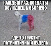 каждый раз, когда ты осуждаешь сборную где-то грустит патриотичный пудель