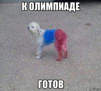 к олимпиаде готов