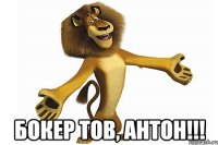  Бокер тов, Антон!!!