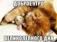 Доброе утро Великолепного дня