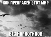 Как прекрасен этот мир Без наркотиков