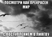 Посмотри как прекрасен мир с поступлением в Лингву