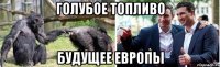 голубое топливо будущее европы