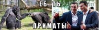 е б ... т ь п р и м а т ы
